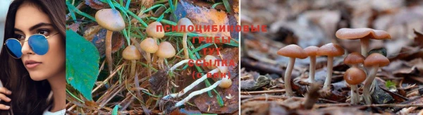 метамфетамин Абаза