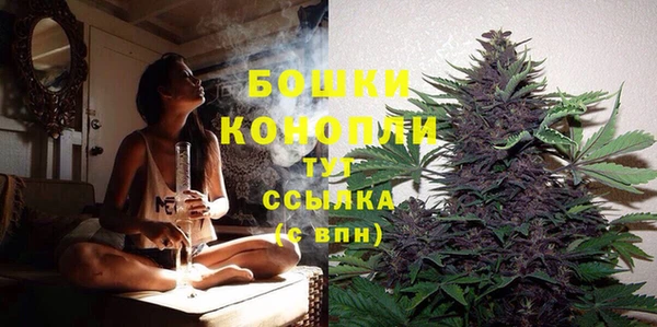 гашик Медногорск
