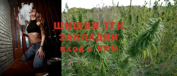 сатива Алзамай