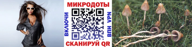 Галлюциногенные грибы GOLDEN TEACHER  Димитровград 