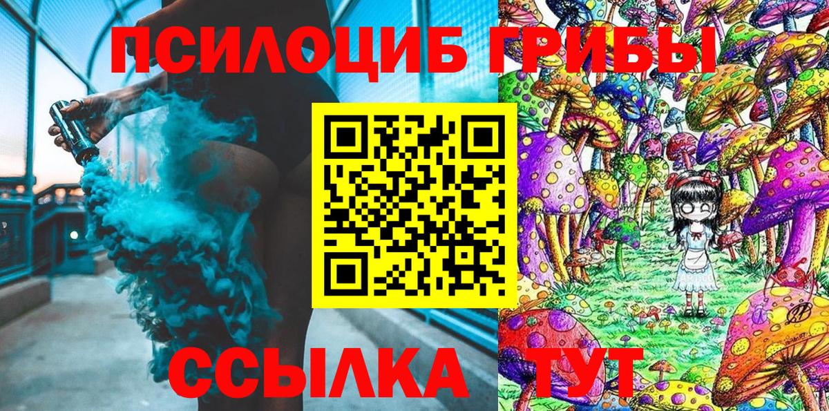 Псилоцибиновые грибы Psilocybe  Псилоцибиновые грибы ЛСД  Вход с VPN  Димитровград 