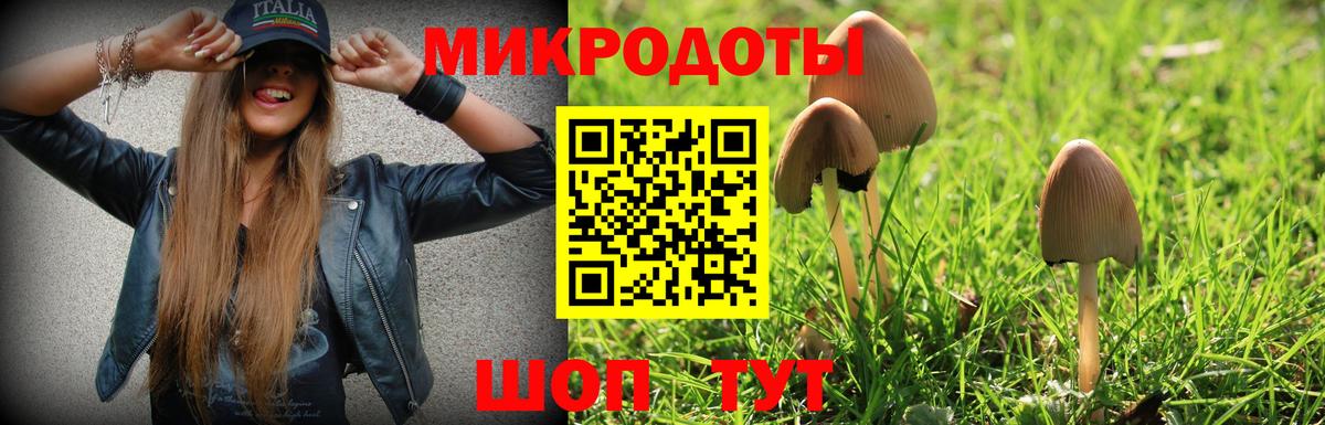 Псилоцибиновые грибы мицелий Димитровград